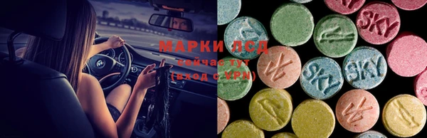 ПСИЛОЦИБИНОВЫЕ ГРИБЫ Нефтекумск