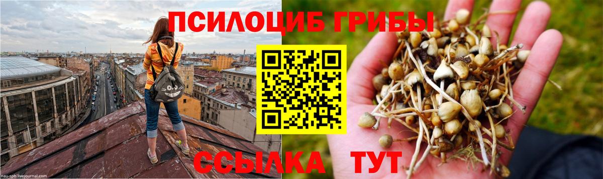 Галлюциногенные грибы Cubensis Белебей